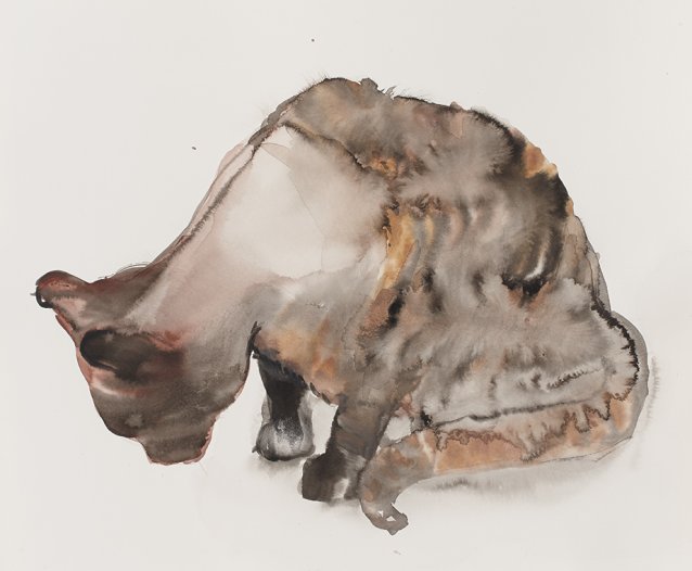 Curious Cat, 2013 by Fiona McMonagle
Private collection, Sydney