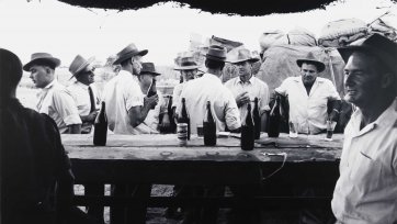 Bar, Betoota races, Queensland