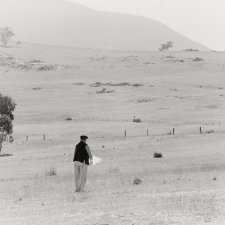 John Olsen - En plein air