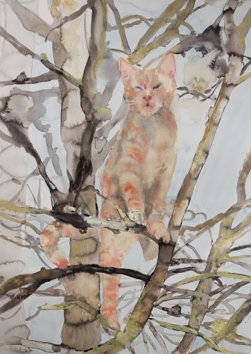 Ginger tom, 2015 by Fiona McMonagle
Private Collection, courtesy of Heiser Gallery, Brisbane