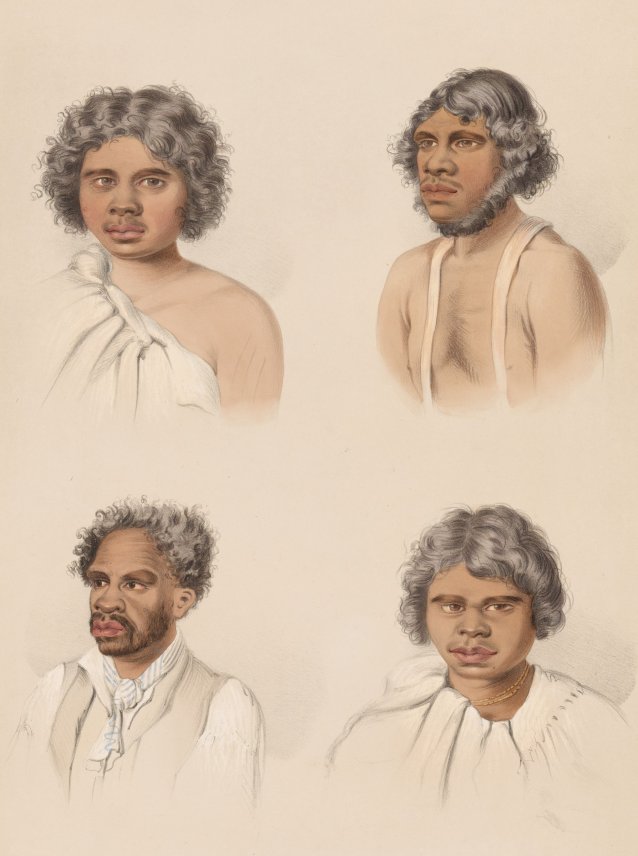 South Australian Illustrated (Plate 35)