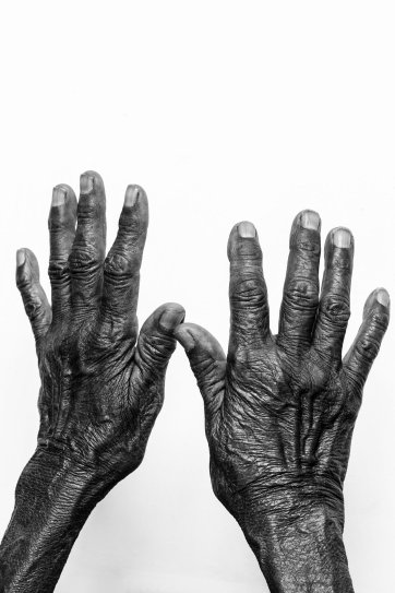 Nyangatja Ngayuku Mara (These are my hands), 2023 Rhett Hammerton