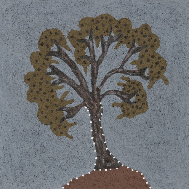 Barregll (nutwood tree), 2018