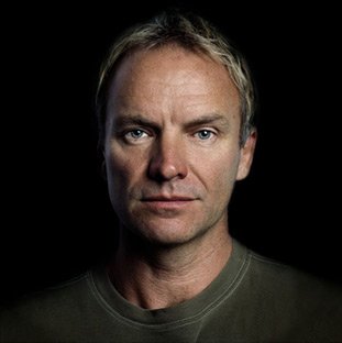 Sting by Karin Catt