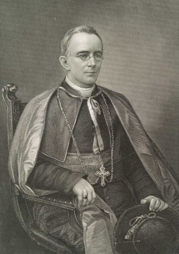 Patrick Moran, Bishop of Sydney