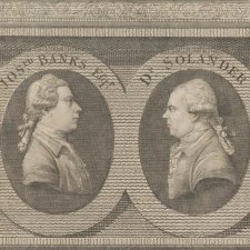 Joseph Banks and Dr Solander