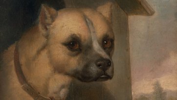 Staffordshire bull terrier belonging to the Rev. John Gower, 1851