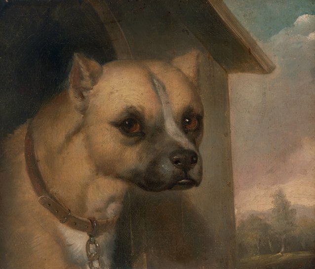 Staffordshire bull terrier belonging to the Rev. John Gower, 1851