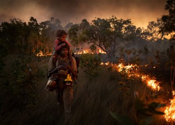 Bushwalk, 2021 Matthew Abbott